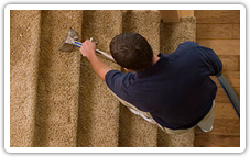 eco friendly cleaners