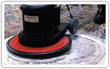 professional steam cleaners